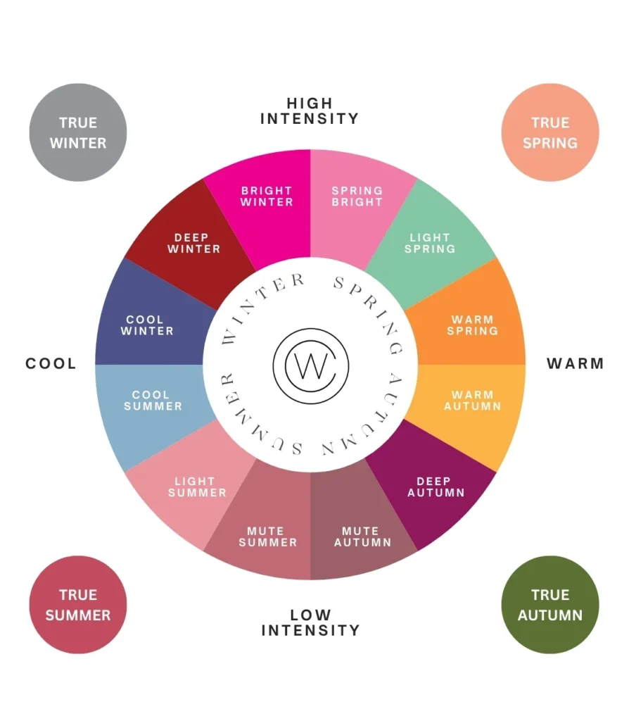 16 colour wheel 1 1.webp