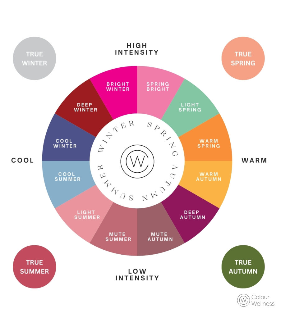 16 colour wheel .jpg